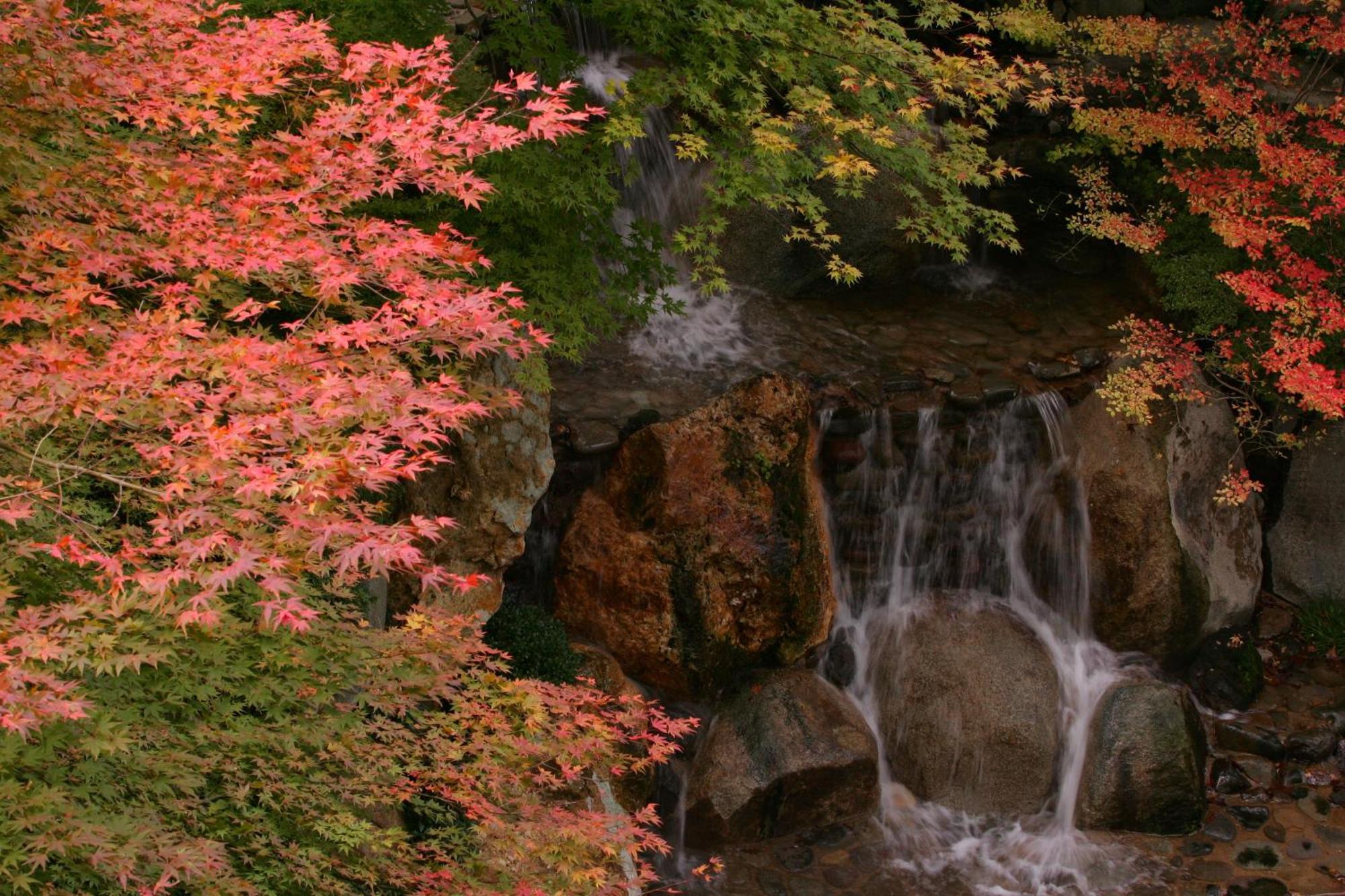 Sakan Sendai Buitenkant foto
