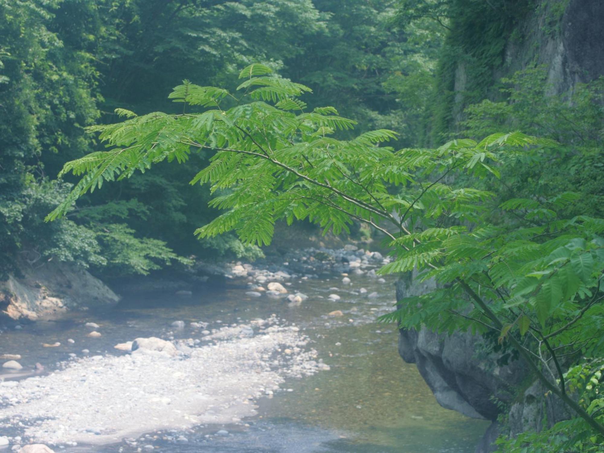 Sakan Sendai Buitenkant foto
