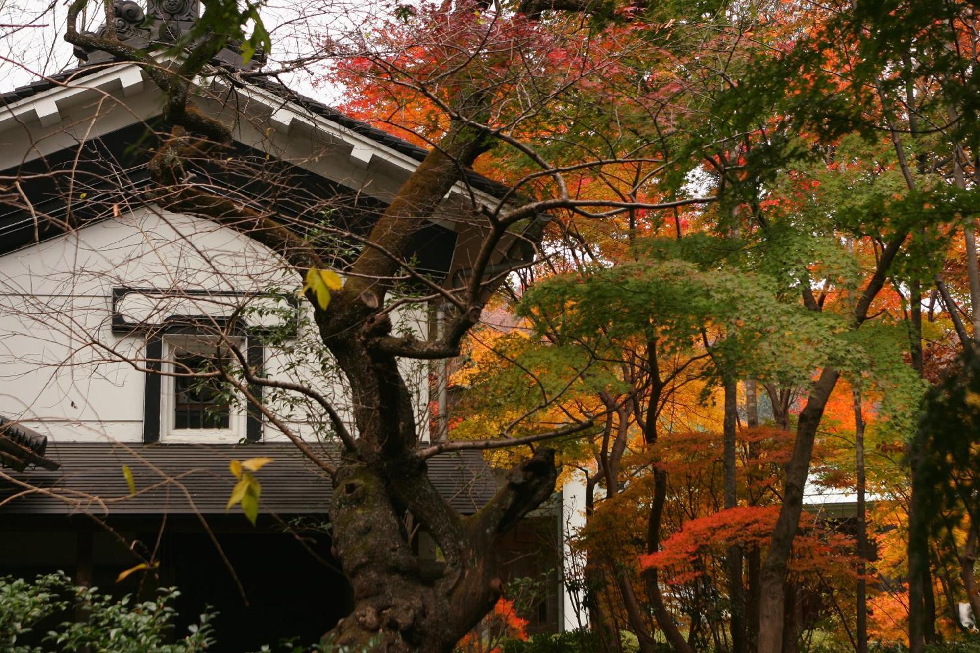 Sakan Sendai Buitenkant foto